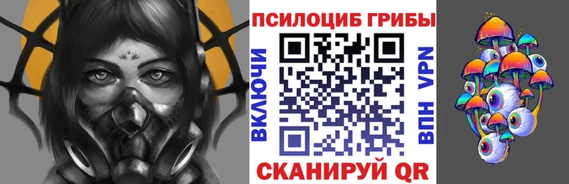 Псилоцибиновые грибы прущие грибы  Купить закладки  Дедовск 